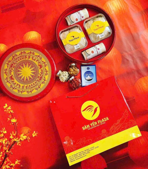 Hộp Quà Tặng Yến Sào "Trống Đồng Đông Sơn" 200g Yến Sào Rút Lông - Nutrinest -Yến Sào Plaza - Ảnh 9