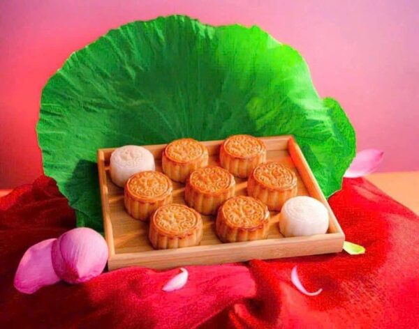 Bánh Trung thu Yến sào Sanest Khánh Hòa Hộp Qùa Tặng Thượng Hạng - Ảnh 4
