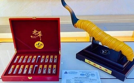 QUÀ BIẾU THƯỢNG HẠNG